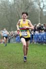 Mens under-17s Inter Counties Cross Country, Prestwold Hall, Loughborough. Photo: David T. Hewitson/Sports for All Pics
